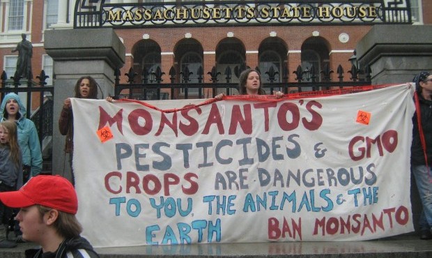 monsanto s march into biotechnology While genetically engineered food and biotechnology could be useful technologies, there are concerns about the profit motive affecting food security monsanto and other chemical companies have become particularly prominent in biotechnology, and so too has opposition against them. monsanto s march into biotechnology While genetically engineered food and biotechnology could be useful technologies, there are concerns about the profit motive affecting food security monsanto and other chemical companies have become particularly prominent in biotechnology, and so too has opposition against them.
