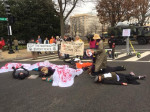 NCNR protest in DC January 2017 by Nick Mottern