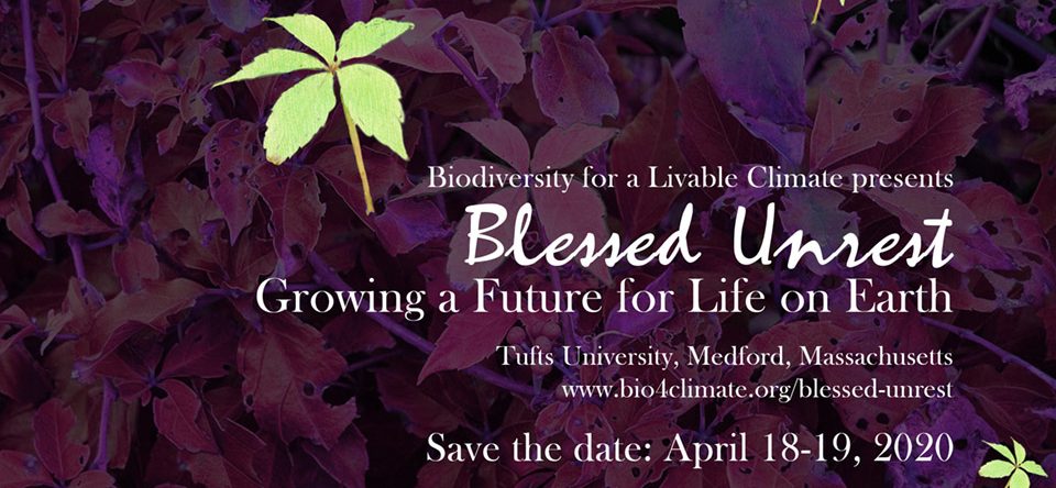 Blessed Unrest: Growing A Future For Life On Earth
