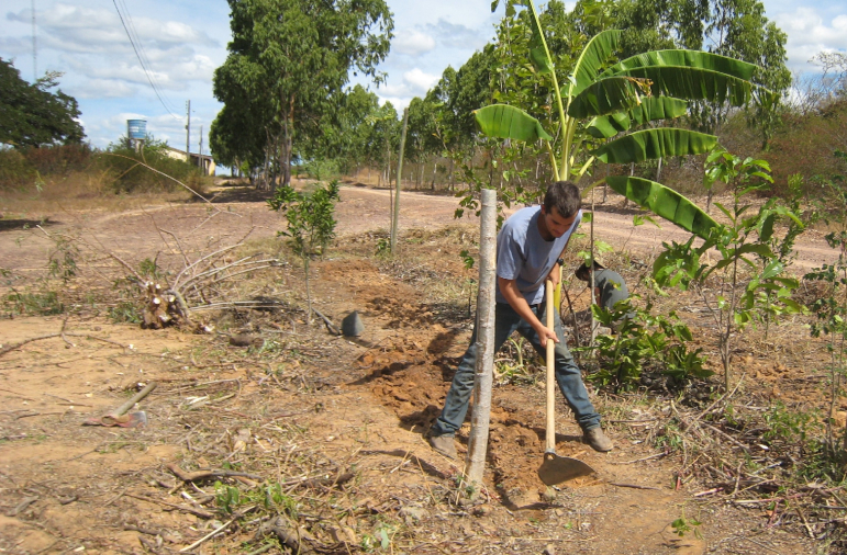 How Traditional Knowledge Is Saving Forgotten Lands