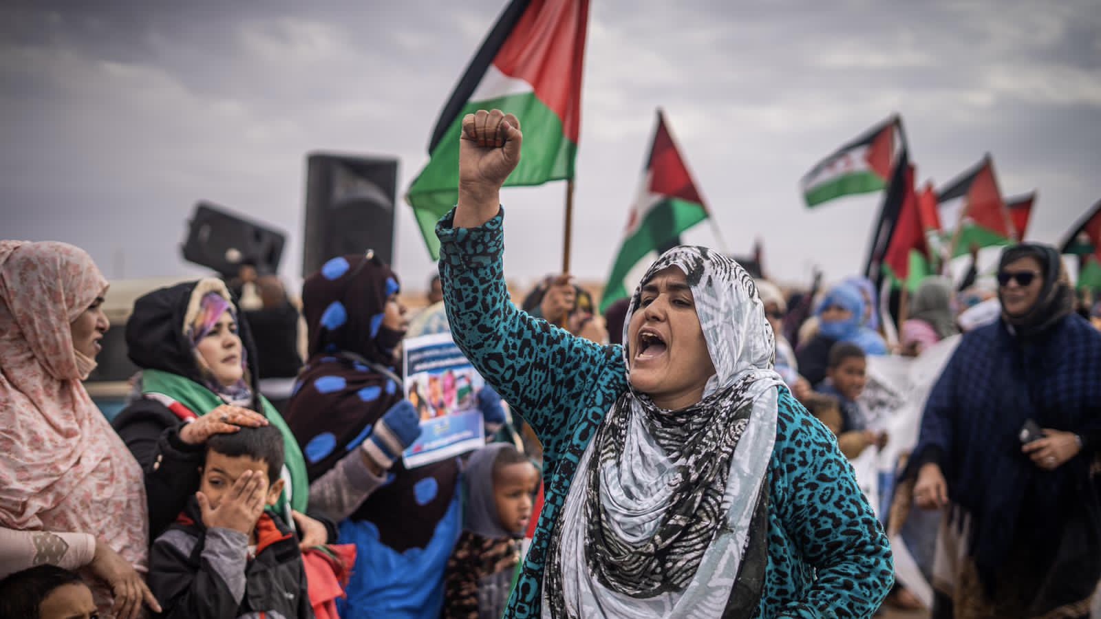 Western Sahara’s Decolonization At Crossroads After 50 Years