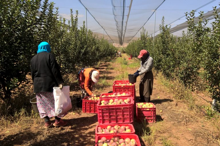 New Report Calls For Resilient, Self-Reliant Food Systems