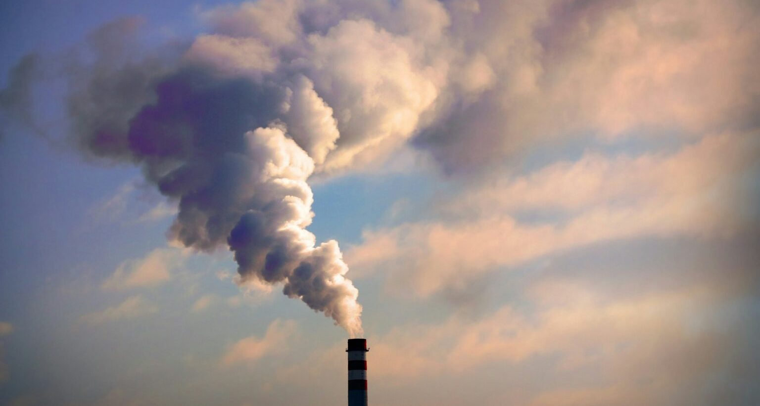 Elites Have No Plan For Climate Collapse