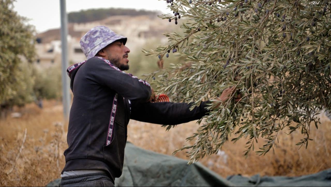 Resisting Uprooting In The West Bank